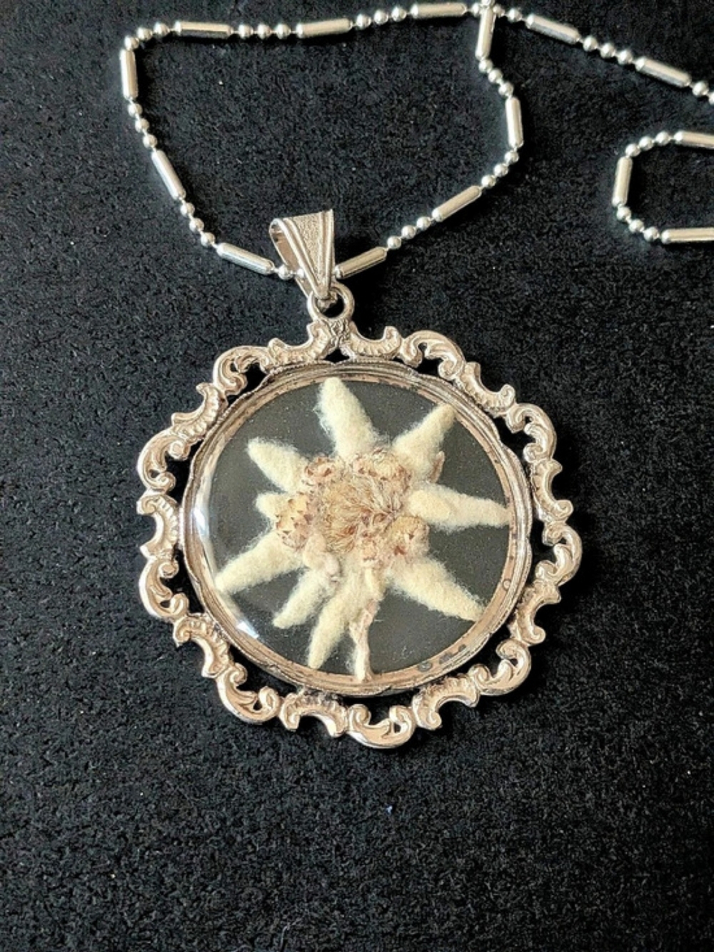Vintage Real Edelweiss Flower Pressed Glass Pendant Necklace Silver 900 925